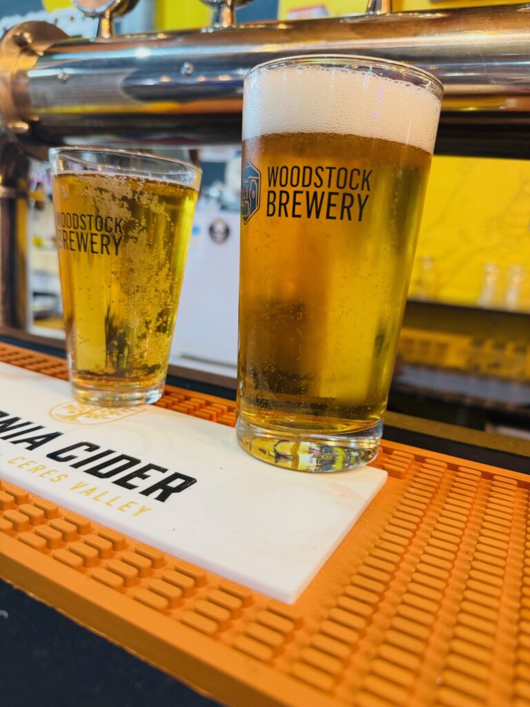 Zwei Gläser Bier mit der Aufschrift "Woodstock Brewery" stehen auf einem Tresen