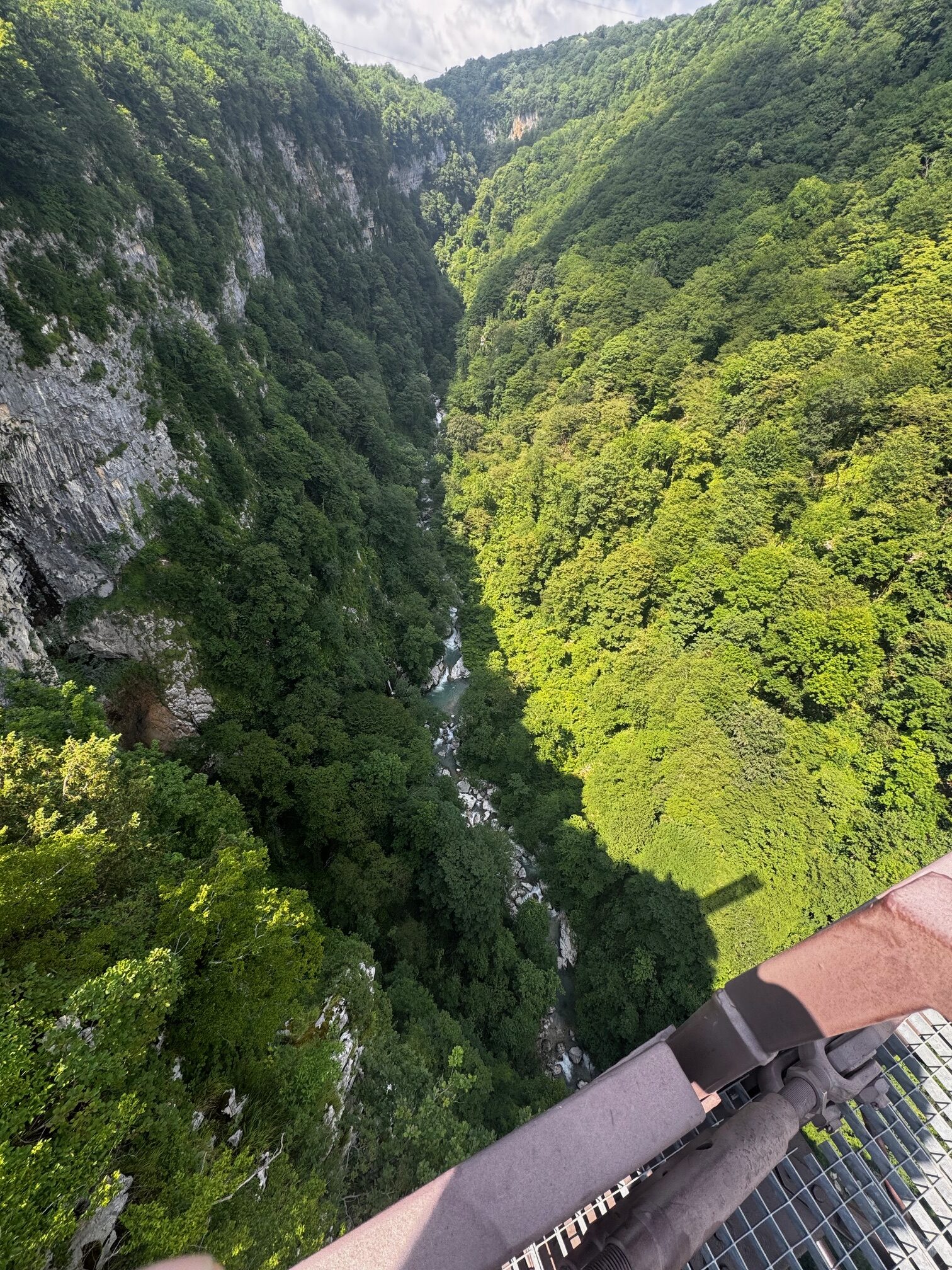 Blick von einer Aussichtsplattform mit Gitterboden in eine tiefe, bewaldete Schlucht