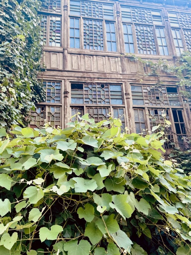 Fassade eines alten georgischen Holzhauses mit vielen kleinen Fenstern und einer dichten Rankpflanze im Vordergrund