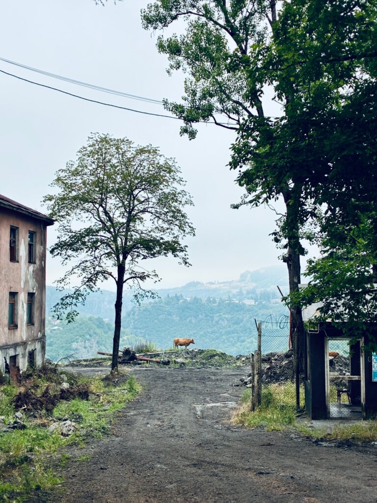 Landschaft mit einem unbefestigten Weg zwischen einem alten Gebäude und einem kleinen Unterstand, im Hintergrund ein Baum und eine Kuh auf einer Anhöhe, darüber hängen zwei lasche Stromkabel