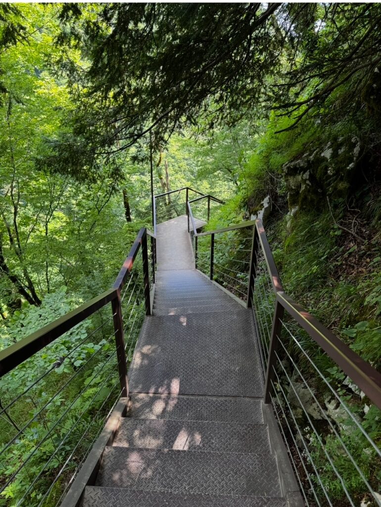 Metalltreppe, die einen bewaldeten Hang hinunter führt