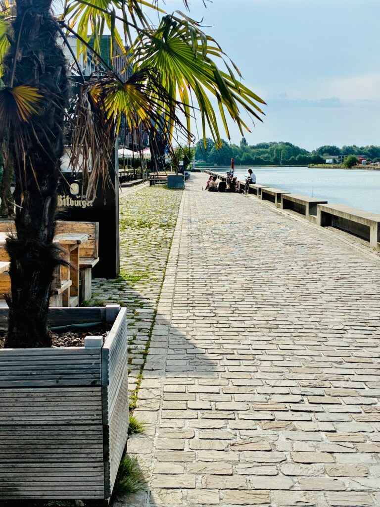 Kopfsteinpflasterweg am Flussufer mit Palmen in Pflanzkübeln und Menschen am Wasser im Hintergrund unter hellblauem Himmel