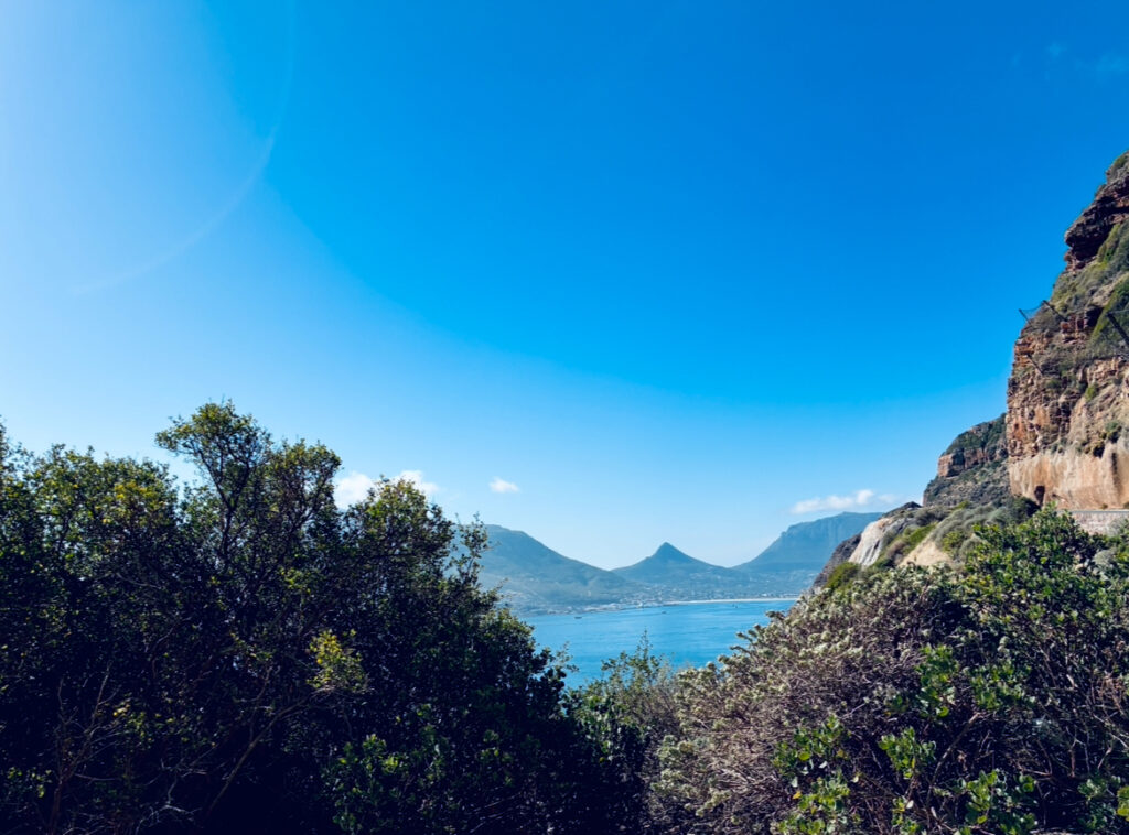 Aussicht durch Büsche auf den Atlantik unter blauem Himmel