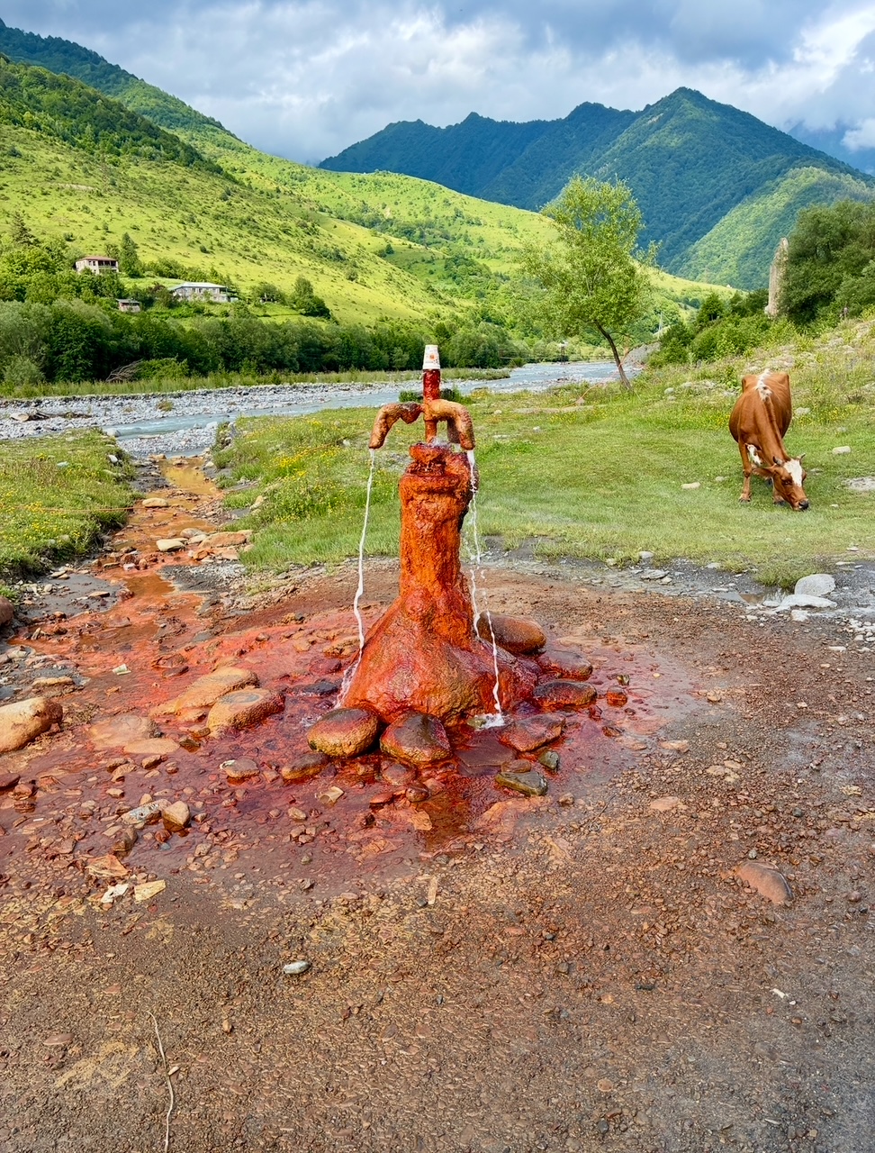 Rostige Wasserquelle mit fließendem Wasser in einer grünen Berglandschaft und einer grasenden Kuh im Hintergrund