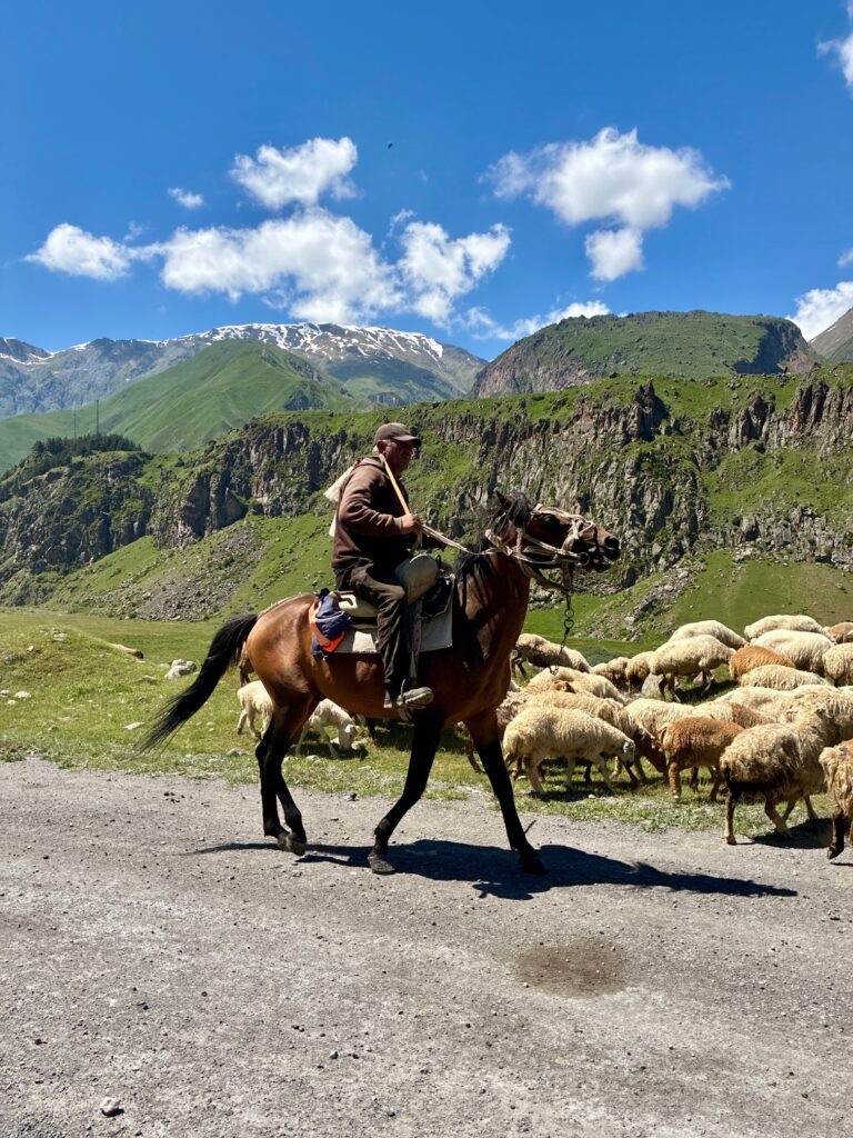 Ein Mann reitet auf einem braunen Pferd vor einer Herde Schafe in einer bergigen Landschaft mit blauem Himmel und vereinzelten Wolken