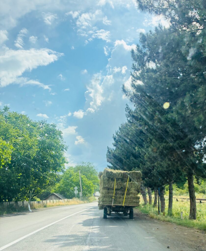 Landstraße mit einem Lastwagen, der mit Heuballen beladen ist, rechts und links der Straße sind Bäume und Sträucher unter blauem Himmel mit freundlichen Wolken