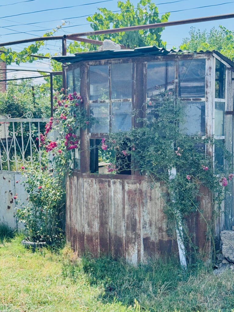 Verwitterter, kleiner Gartenpavillon mit Glasfenstern, umrankt von blühenden Rosen und umgeben von Gras