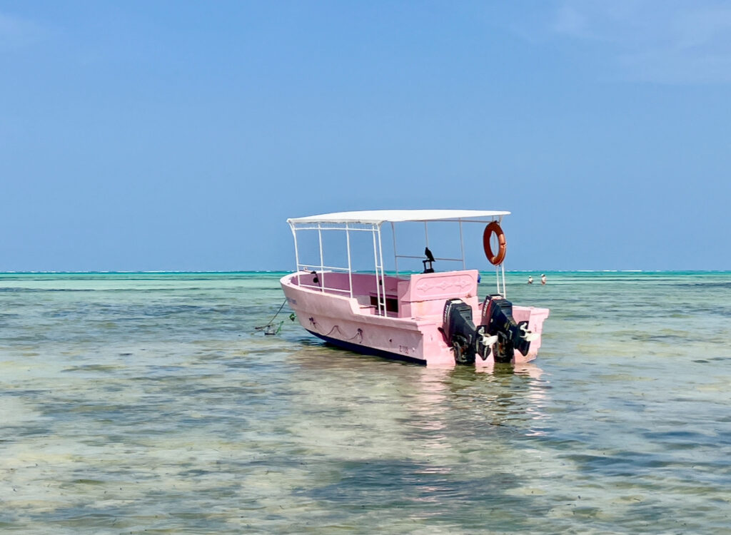 Ein rosa Motorboot mit weißem Sonnendach steht im flachen, klaren Wasser eines türkisfarbenen Meers unter blauem Himmel
