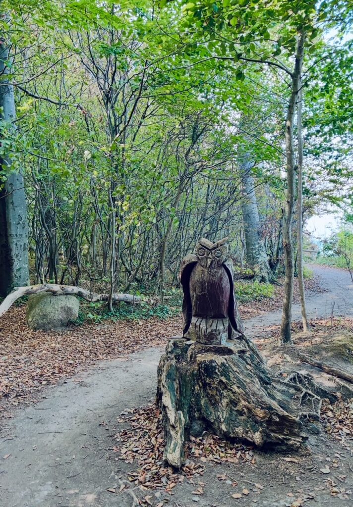 Holzskulptur einer Eule auf einem Baumstumpf am Waldrand neben einem Weg