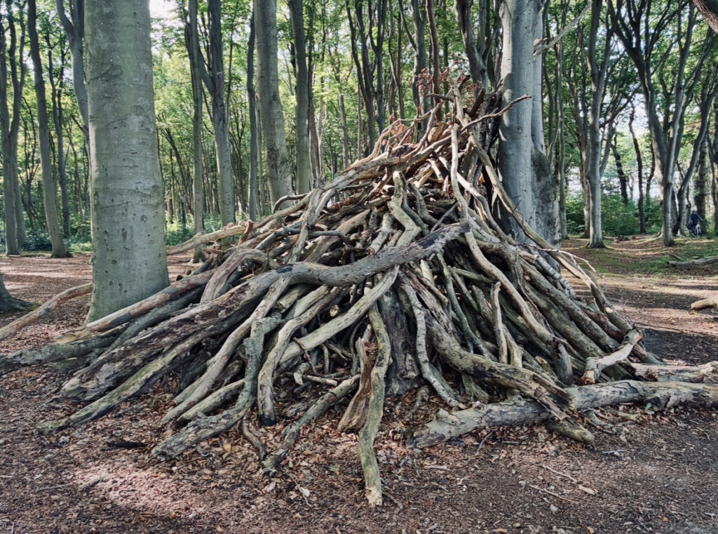 Große Pyramide aus Ästen und Zweigen im Wald auf Waldboden