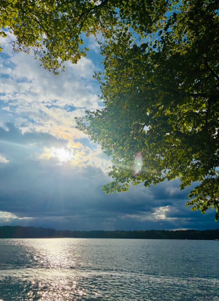 Sonnenlicht spiegelt sich auf einem See, im Vordergrund Äste mit grünen Blättern unter Himmel mit dramatischen Wolken