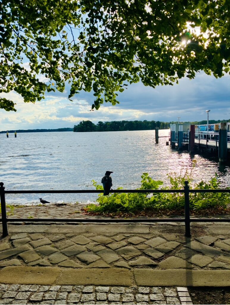 Ufer mit gepflastertem Weg, Geländer, auf dem eine Krähe sitzt, und Wasserfläche mit bewaldeter Insel im Hintergrund unter bewölktem Himmel